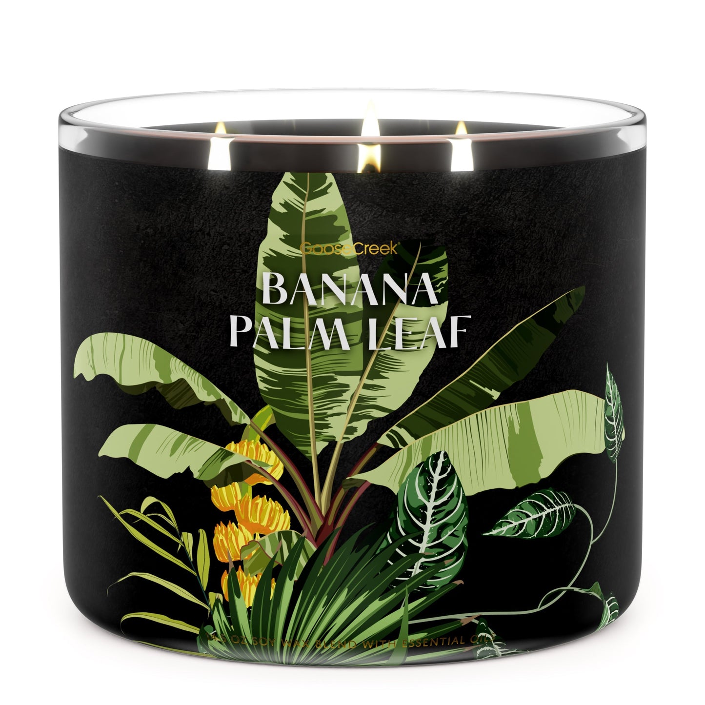 Banana Palm Leaf 3-Wick Candle