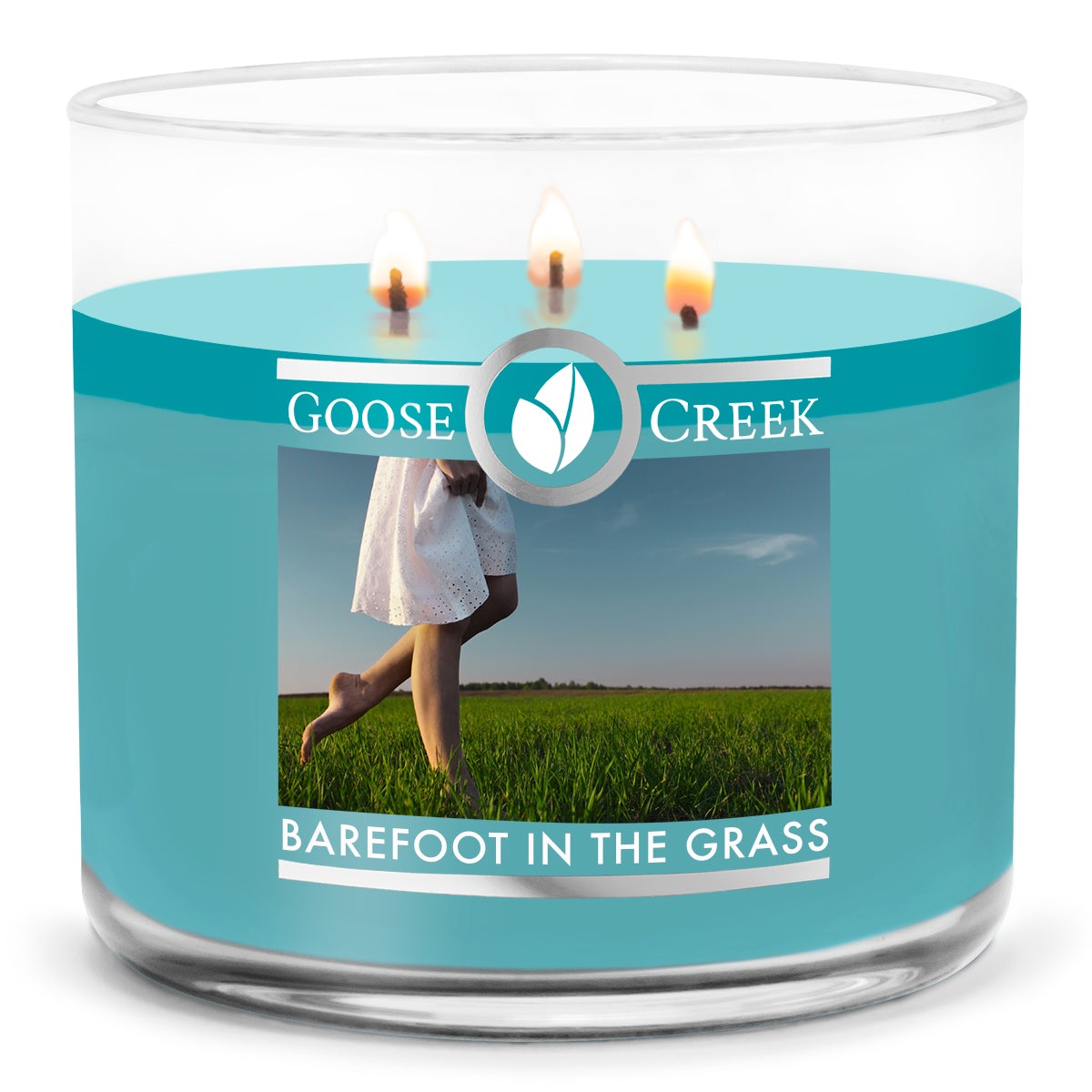 Load image into Gallery viewer, Barefoot in the Grass Large 3-Wick Candle
