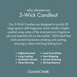 Load image into Gallery viewer, Beach Vibes 3-Wick Candle
