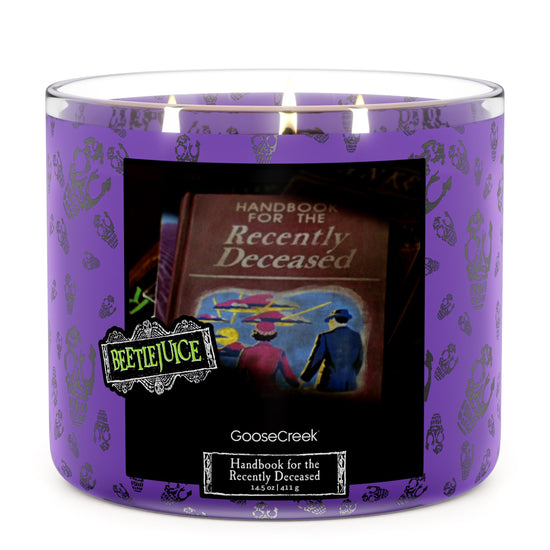 Beetlejuice- Handbook for the Recently Deceased 3-Wick Candle