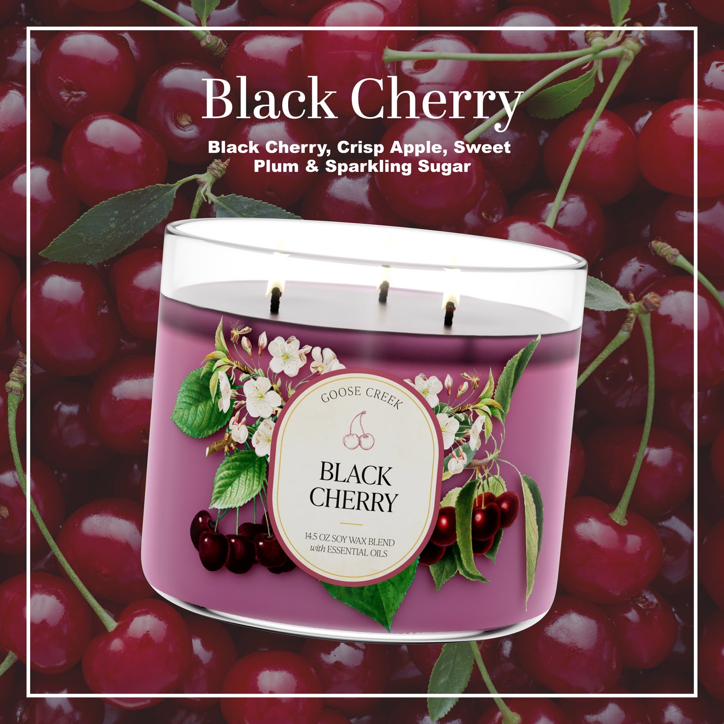 Black Cherry 3-Wick Candle