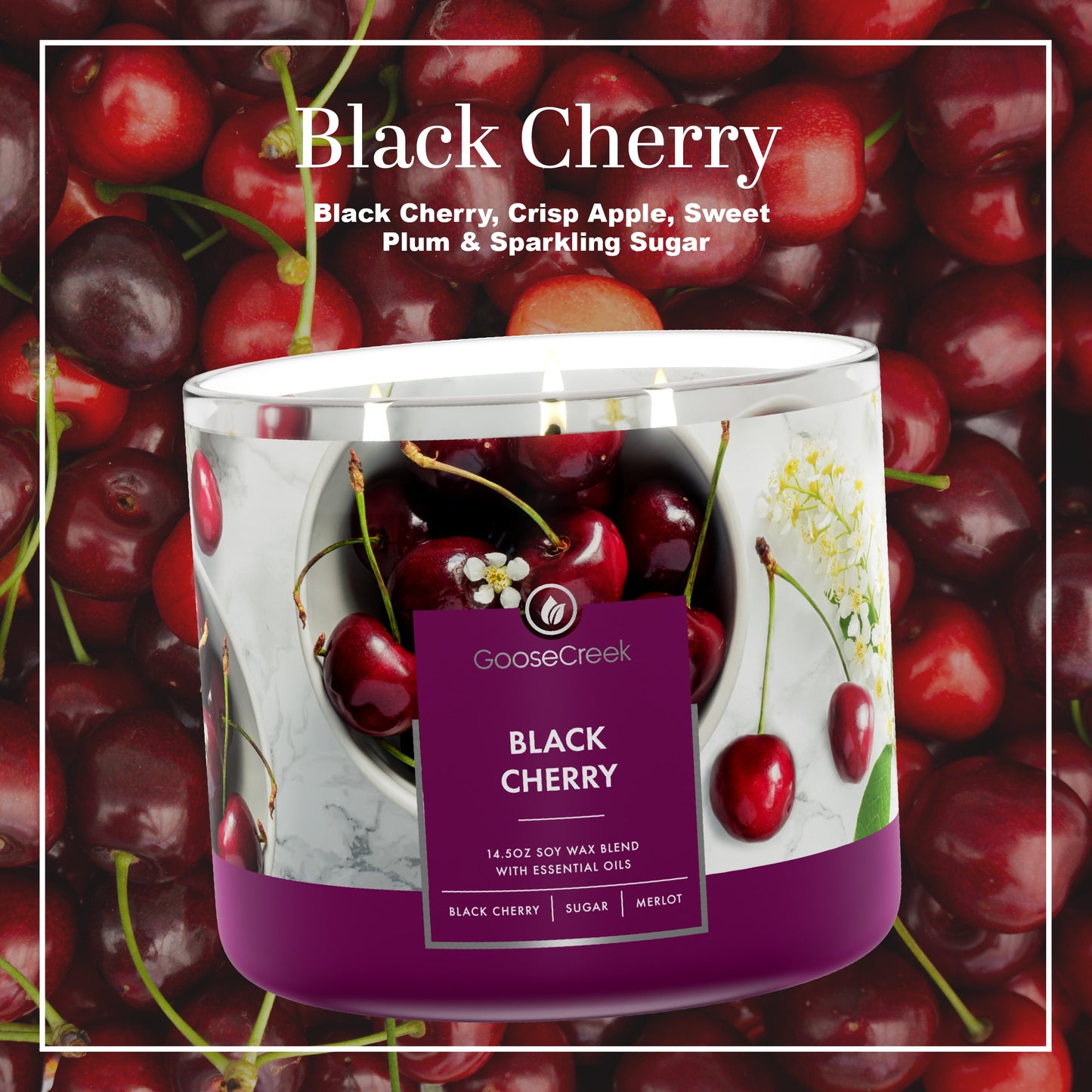 Black Cherry 3-Wick Candle