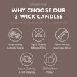 Load image into Gallery viewer, Black Forest Cake Germany Large 3-Wick Candle
