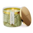 Blankets Under The Stars Large 3-Wick Candle
