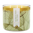 Load image into Gallery viewer, Blankets Under The Stars 3-Wick Candle
