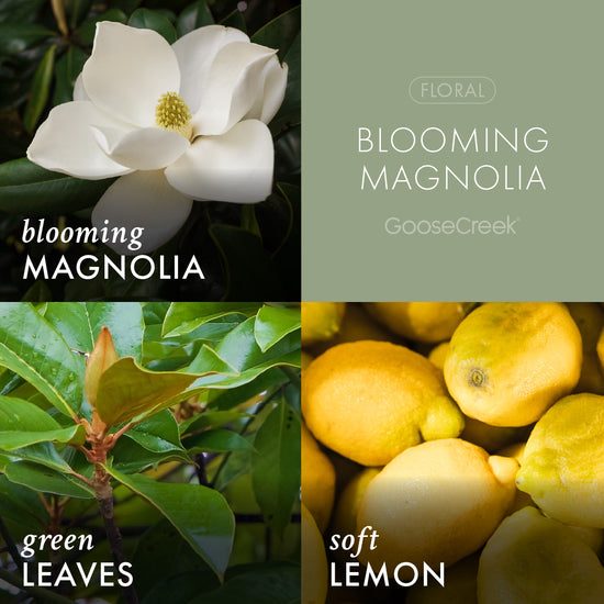 Blooming Magnolia 3-Wick Candle