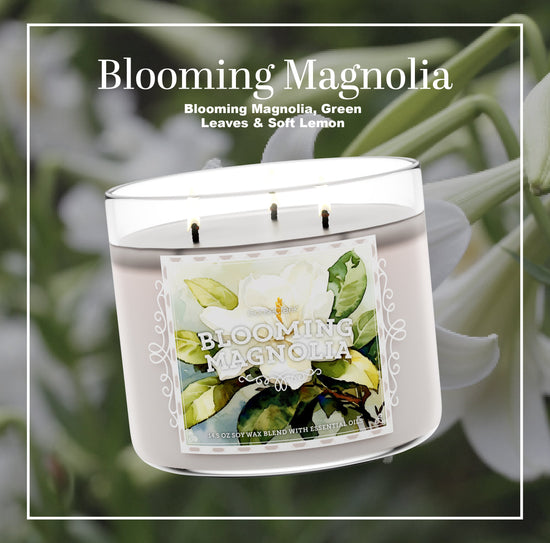 Blooming Magnolia Large 3-Wick Candle