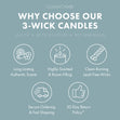 Load image into Gallery viewer, Blueberry Bunnycream Large 3-Wick Candle
