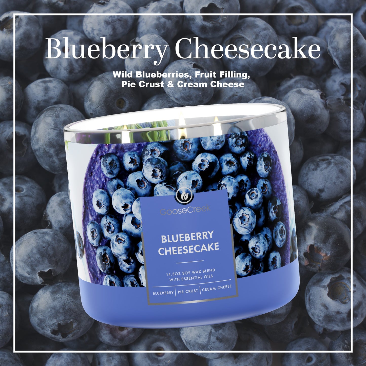 Blueberry Cheesecake 3-Wick Candle