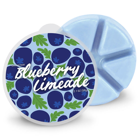 Blueberry Limeade Wax Melt