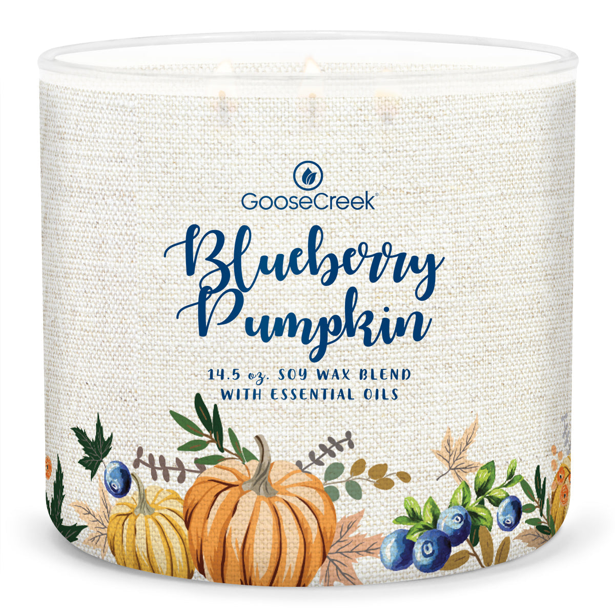 Load image into Gallery viewer, Blueberry Pumpkin Large 3-Wick Candle
