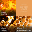 Load image into Gallery viewer, Bonfire Leaves 3-Wick Candle
