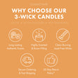 Load image into Gallery viewer, Bonfire Leaves 3-Wick Candle
