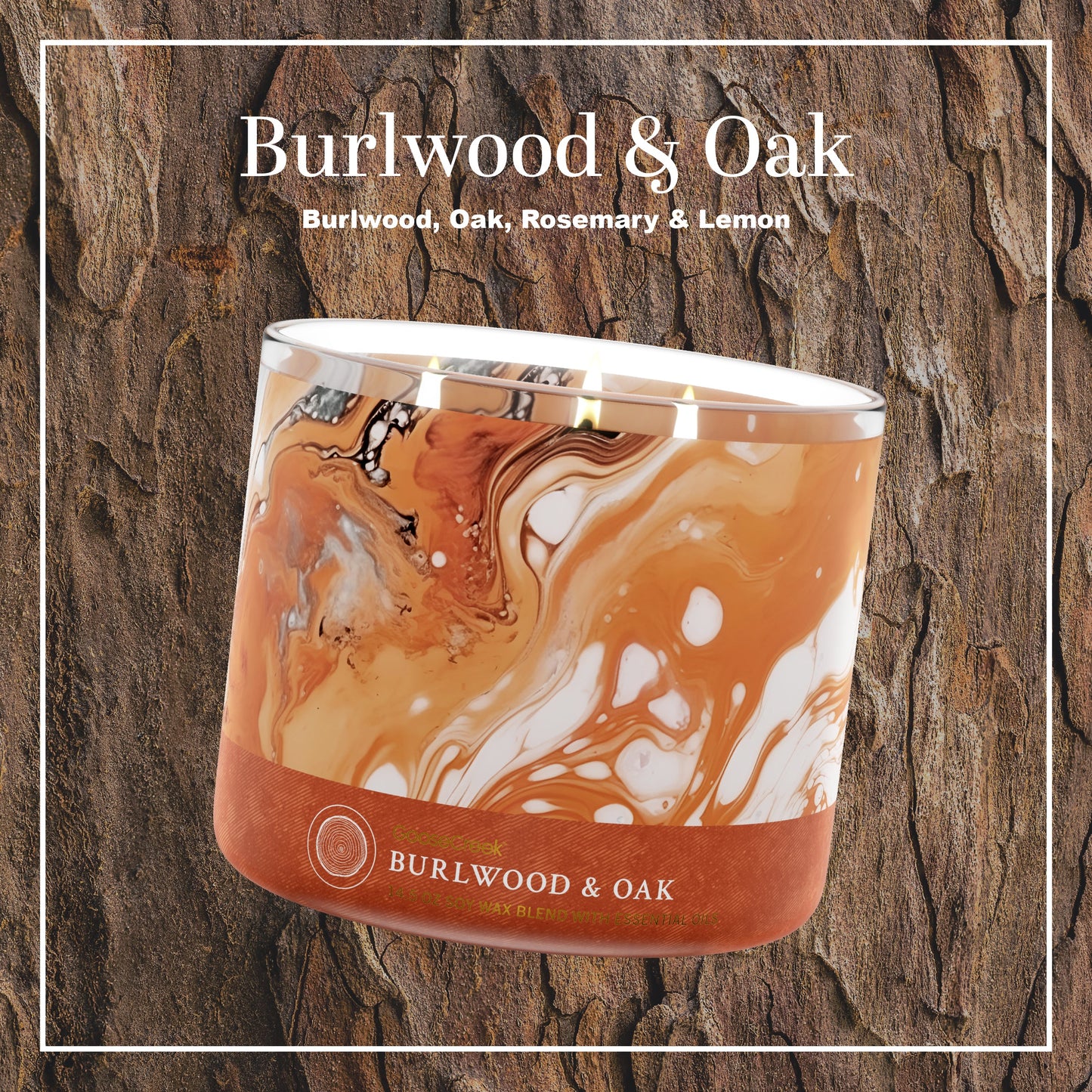 Burlwood & Oak Large 3-Wick Candle