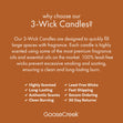 Load image into Gallery viewer, Butterscotch Cake Pop 3-Wick Candle
