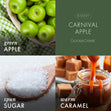 Load image into Gallery viewer, Carnival Apple Plug-in Refill
