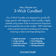 Load image into Gallery viewer, Carnival Cake 3-Wick Candle
