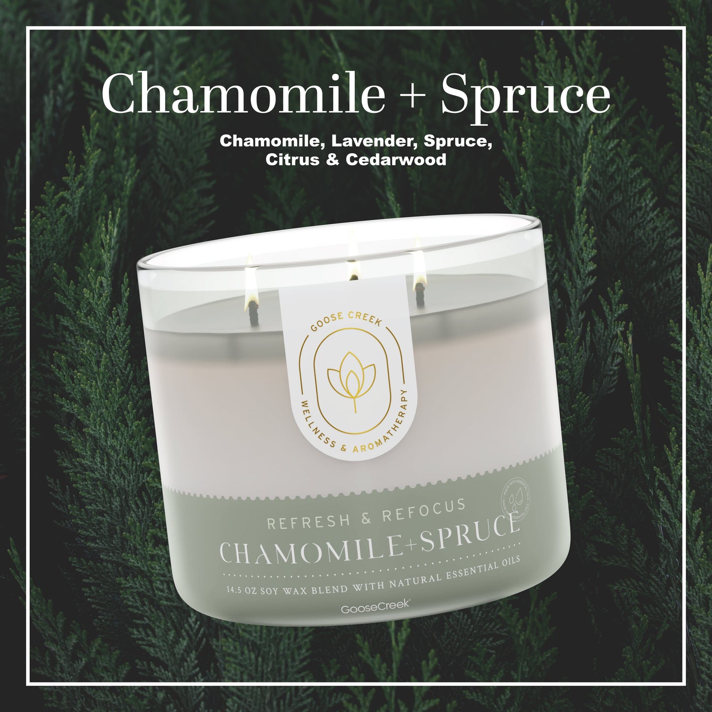 Chamomile & Spruce Aromatherapy 3-Wick Candle