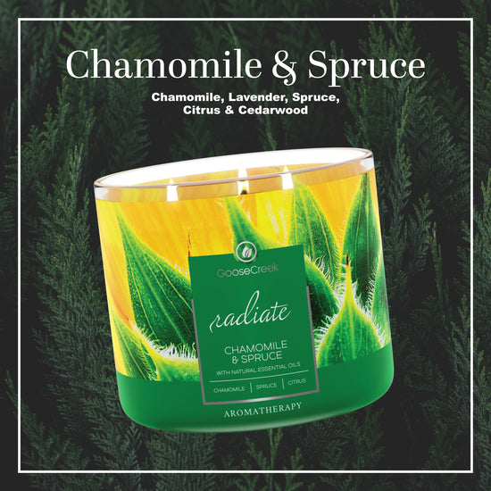 Chamomile & Spruce Aromatherapy Large 3-Wick Candle