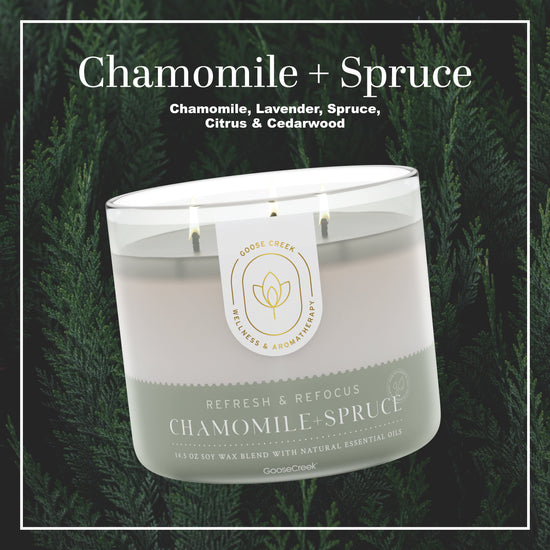 Chamomile & Spruce Aromatherapy Large 3-Wick Candle