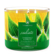 Load image into Gallery viewer, Chamomile &amp;amp; Spruce Aromatherapy Large 3-Wick Candle
