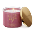 Load image into Gallery viewer, Champagne Sugar 3-Wick Candle

