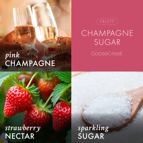 Champagne Sugar 3-Wick Candle