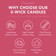 Load image into Gallery viewer, Champagne Sugar 3-Wick Candle

