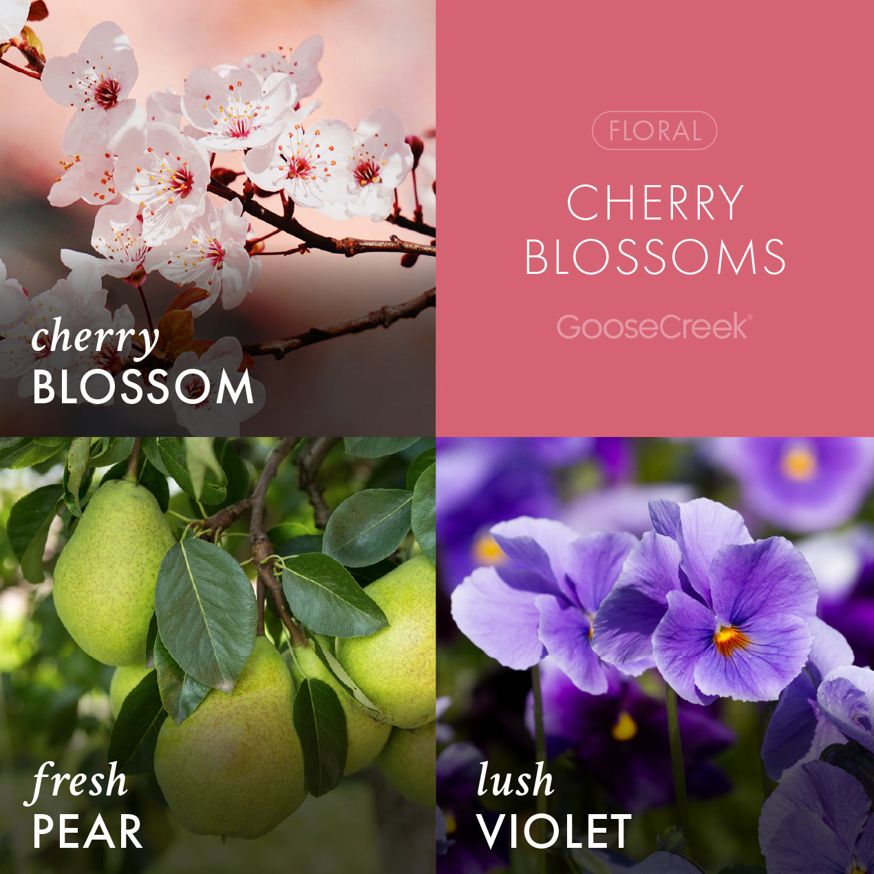 Cherry Blossom 7oz Single Wick Candle