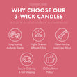 Cherry Blossoms 3-Wick Candle