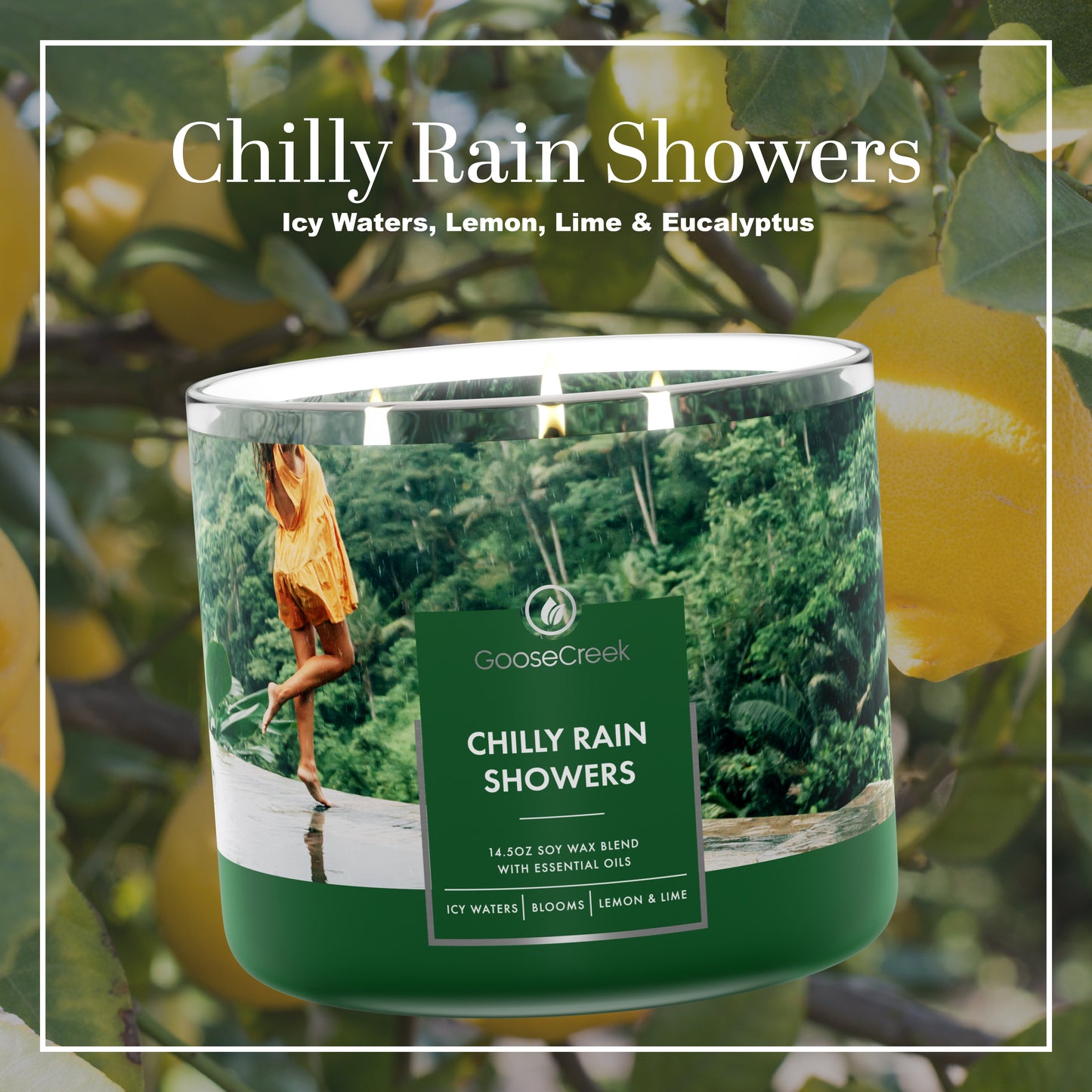 Chilly Rain Showers 3-Wick Large Soy Candle