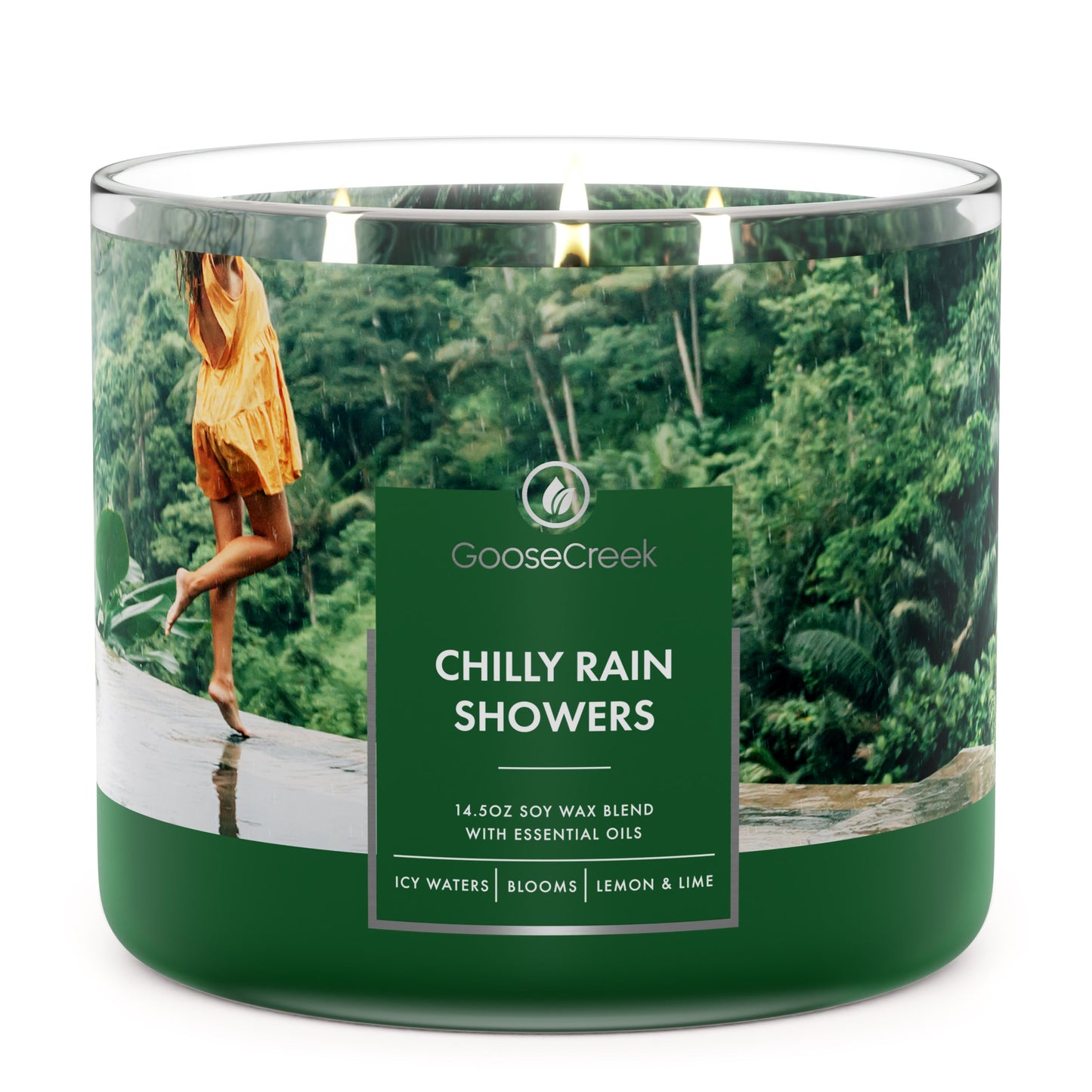 Load image into Gallery viewer, Chilly Rain Showers 3-Wick Large Soy Candle
