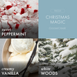 Load image into Gallery viewer, Christmas Magic 3-Wick Candle

