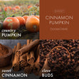 Load image into Gallery viewer, Cinnamon Pumpkin 3-Wick Candle
