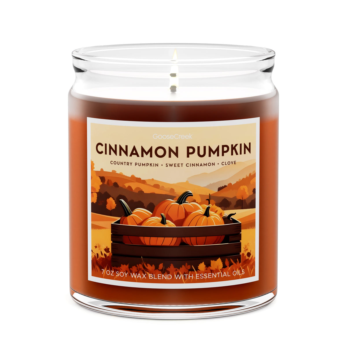 Cinnamon Pumpkin 7 Oz Candle – Goose Creek Candle