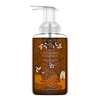 Cinnamon Pumpkin Lush Foaming Hand Soap