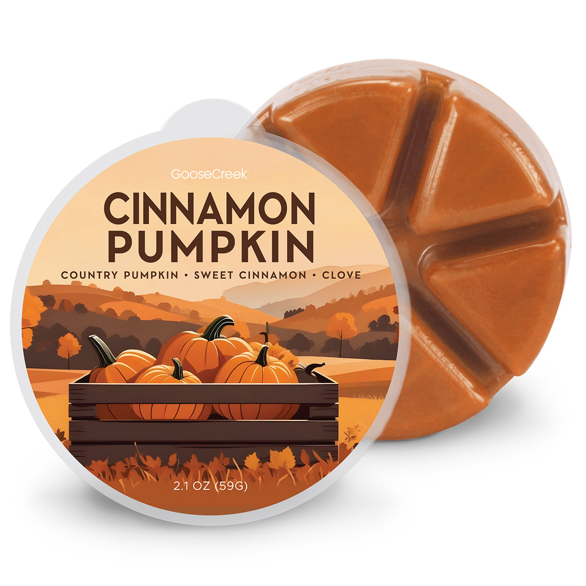 Cinnamon Pumpkin Wax Melt