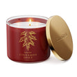 Load image into Gallery viewer, Cinnamon Spice 3-Wick Candle
