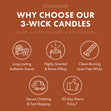 Load image into Gallery viewer, Cinnamon Spice 3-Wick Candle
