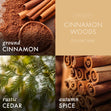 Load image into Gallery viewer, Cinnamon Woods 3-Wick Candle

