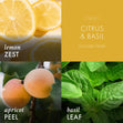 Load image into Gallery viewer, Citrus &amp;amp; Basil Aromatherapy Large 3-Wick Candle
