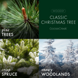 Load image into Gallery viewer, Classic Christmas Tree 3-Wick Candle
