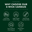 Load image into Gallery viewer, Classic Christmas Tree 3-Wick Candle
