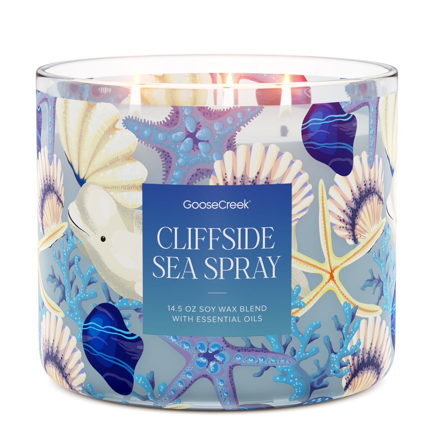 Cliffside Sea Spray 3-Wick Candle