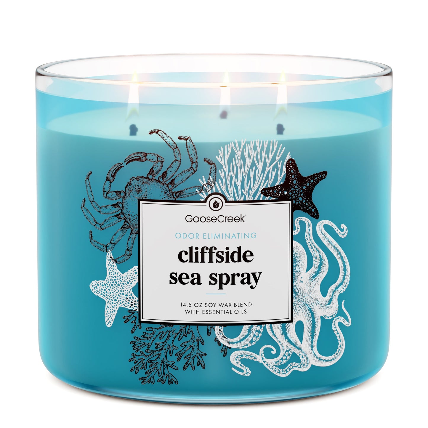Cliffside Sea Spray Odor Eliminating 3-Wick Candle