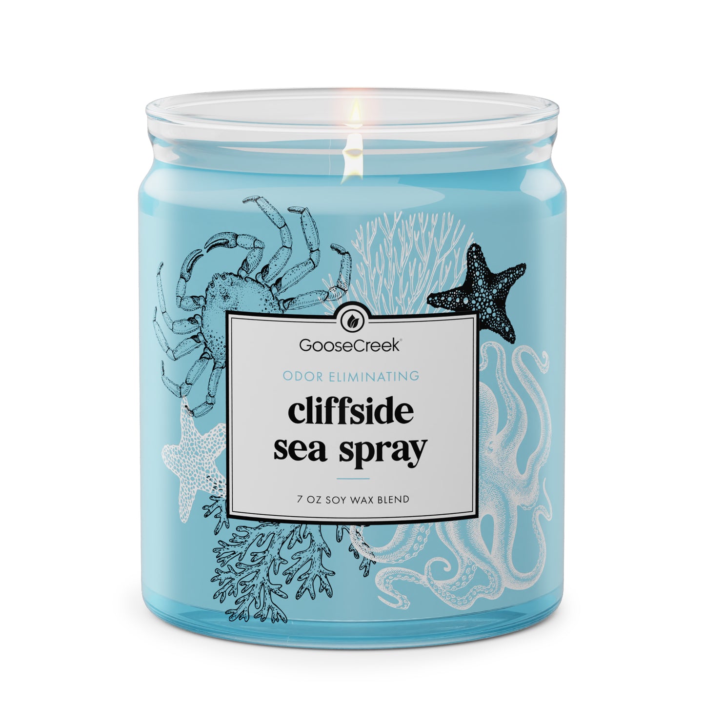 Cliffside Sea Spray Odor Eliminating 7oz Single Wick Candle