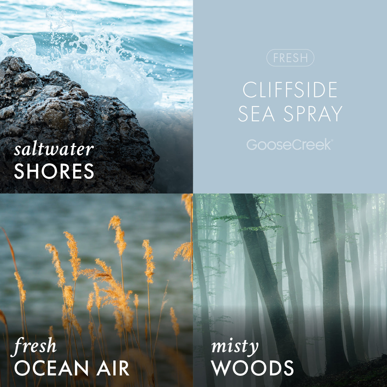 Cliffside Sea Spray Odor Eliminating Plug-in Refill