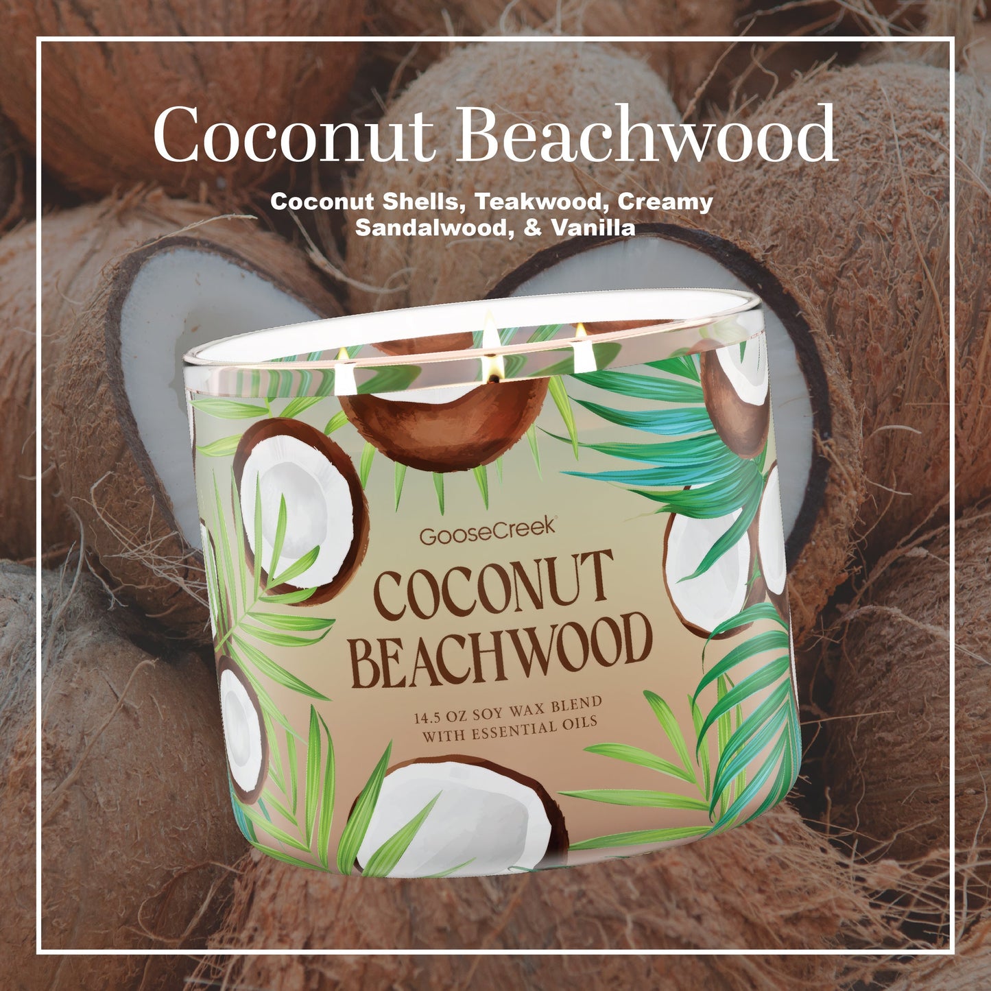 Coconut Beachwood 3-Wick Candle