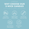 Load image into Gallery viewer, Coconut Cream Mousse 3-Wick Candle
