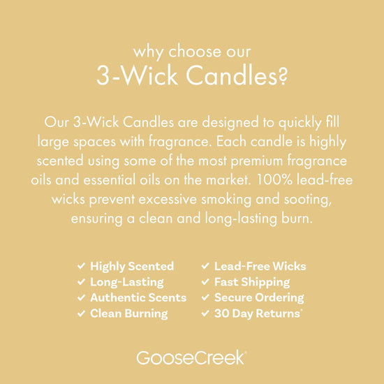 Coconut Mango Milk 3-Wick Candle